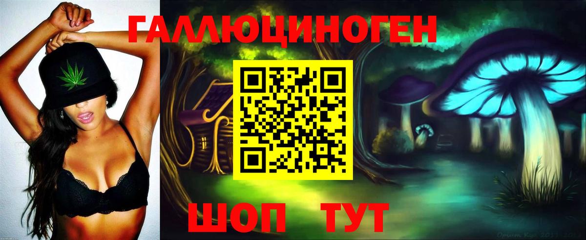 Псилоцибиновые грибы Psilocybe  Вход с VPN  Псилоцибиновые грибы Psilocybine cubensis  Красногорск 
